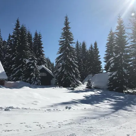 Chalet Stara Jelka Pokljuka Zgornje Gorje Exterior photo