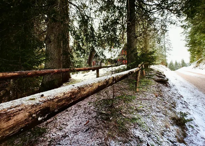 Chalet Stara Jelka Pokljuka