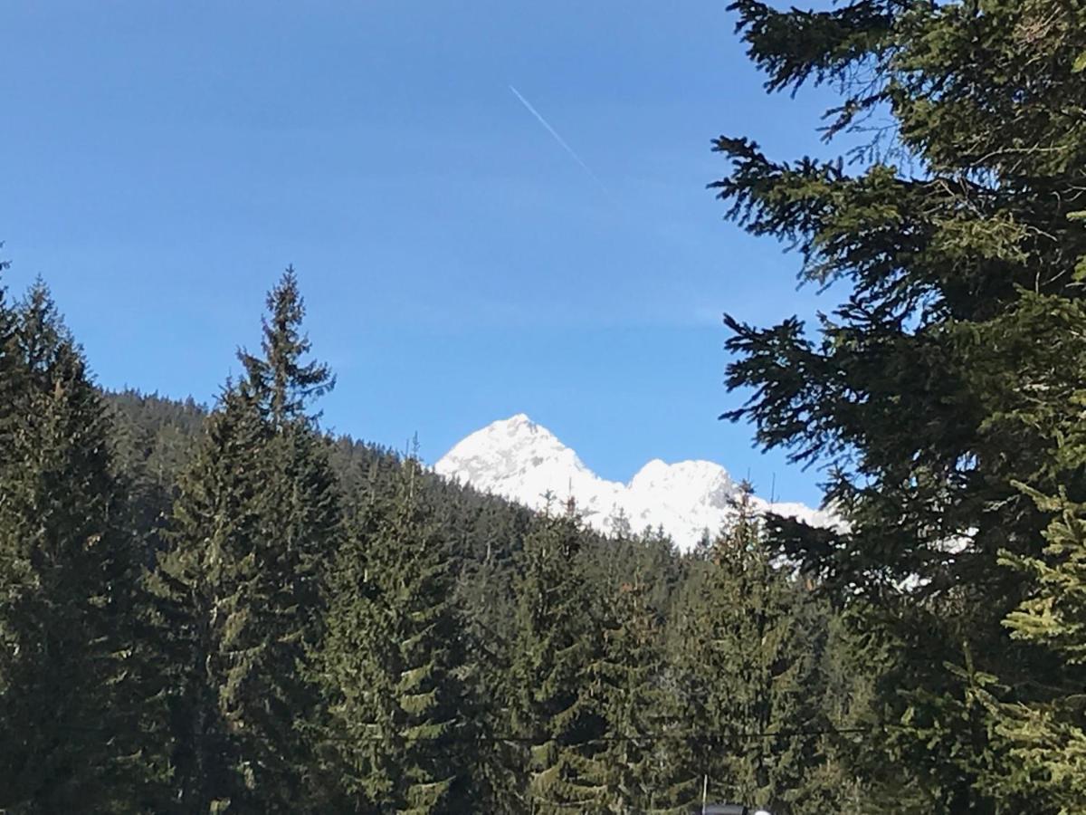 Stara Jelka Pokljuka Chalet