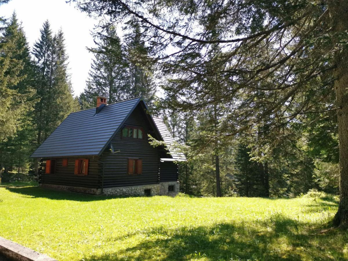 Stara Jelka Pokljuka Zgornje Gorje