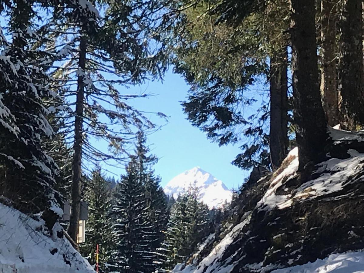 Stara Jelka Pokljuka