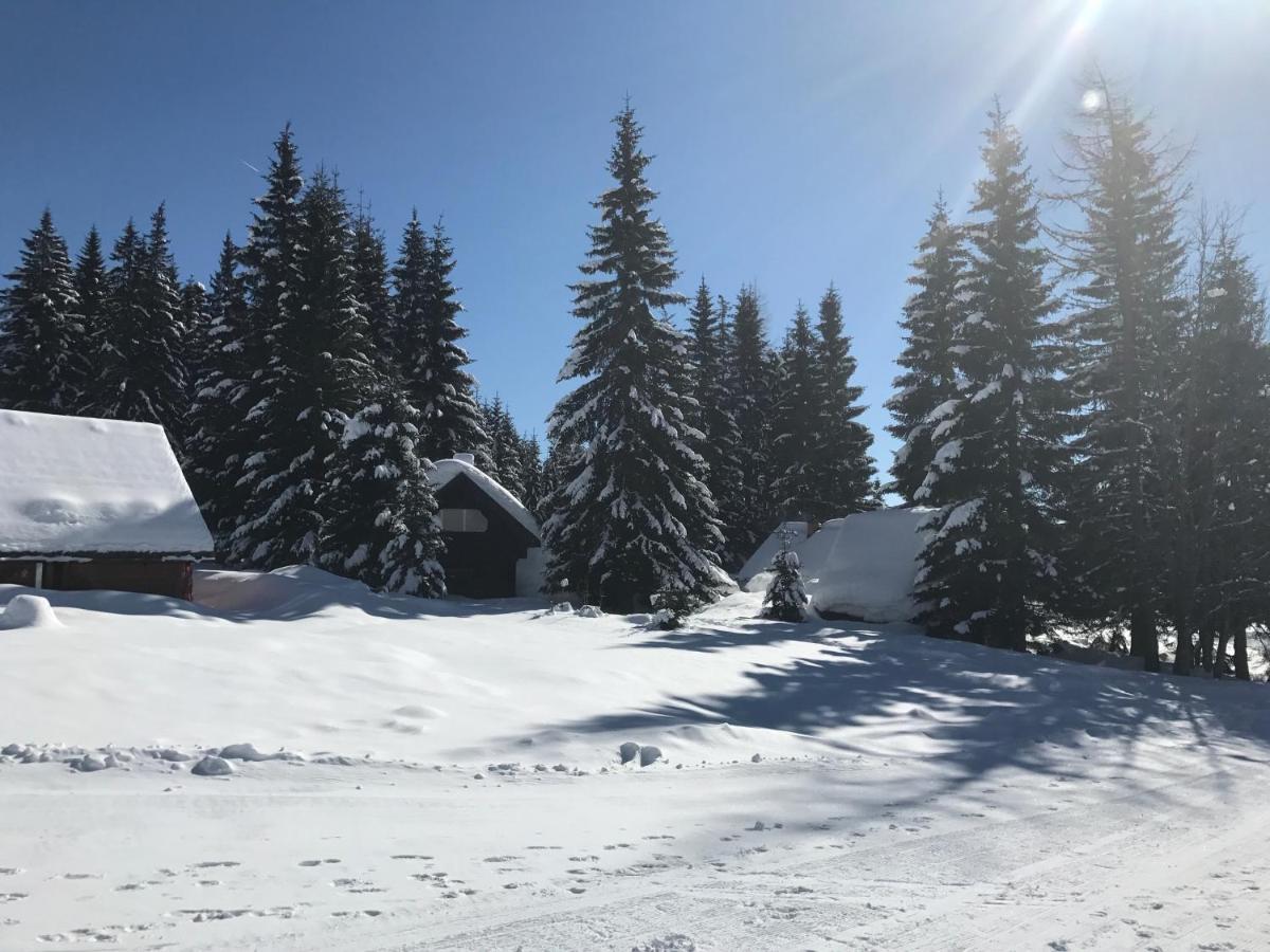 Stara Jelka Pokljuka Zgornje Gorje