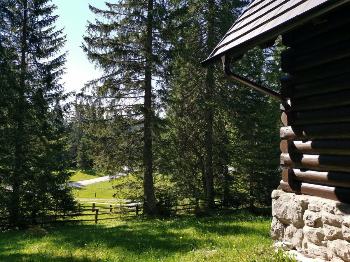 Chalet Stara Jelka Pokljuka Zgornje Gorje