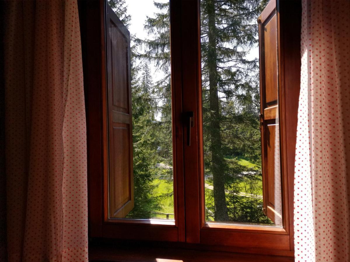 Chalet Stara Jelka Pokljuka *