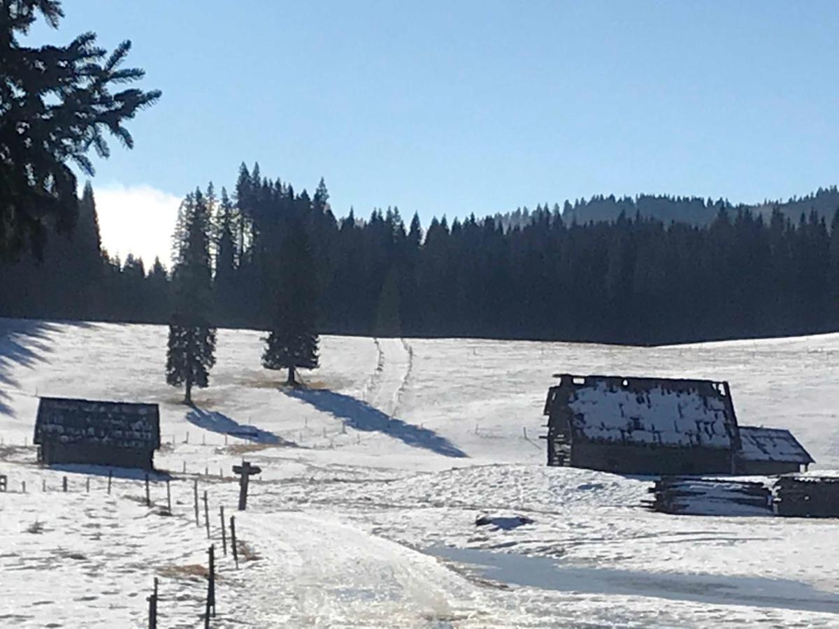 Stara Jelka Pokljuka Zgornje Gorje