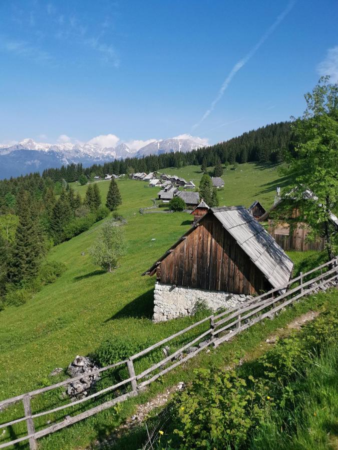Stara Jelka Pokljuka *