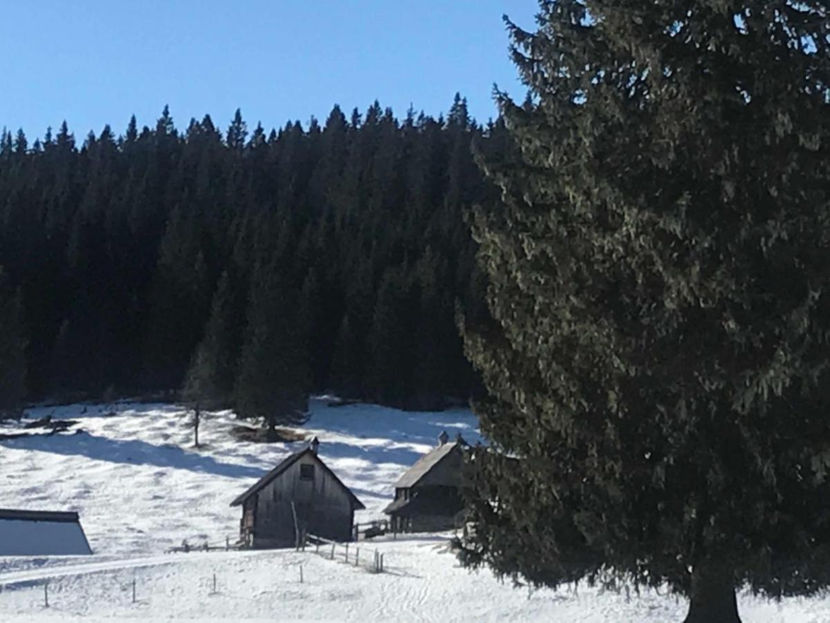 Stara Jelka Pokljuka