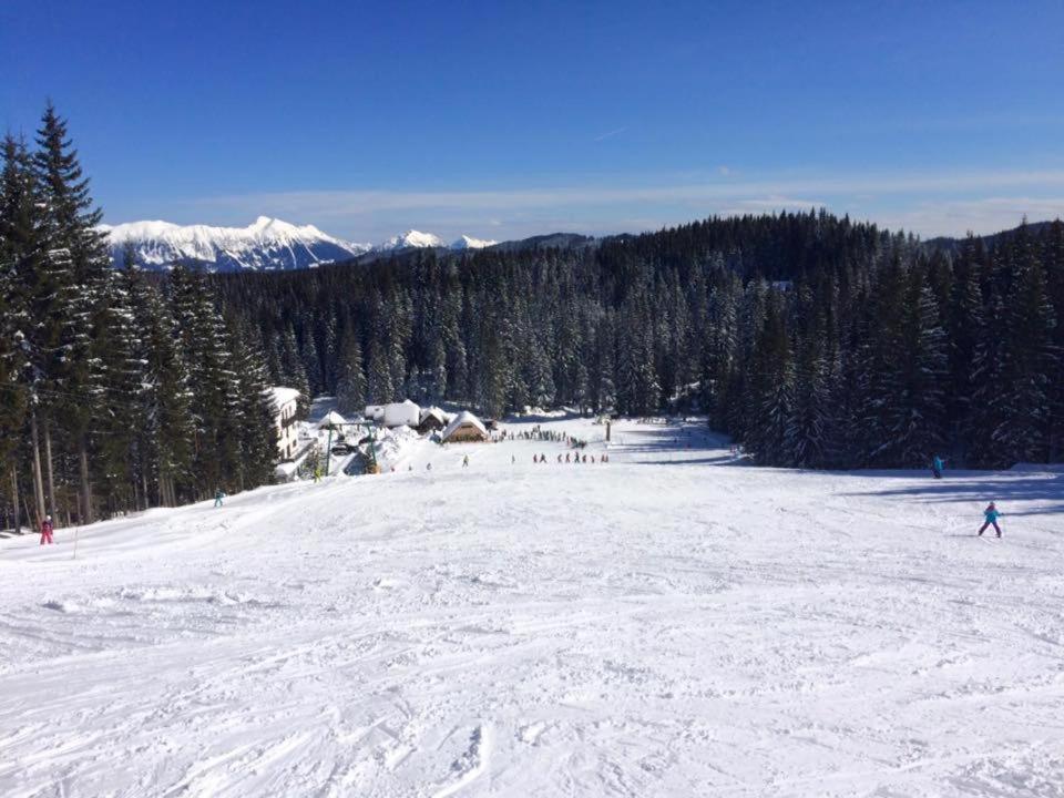 Chalet Stara Jelka Pokljuka