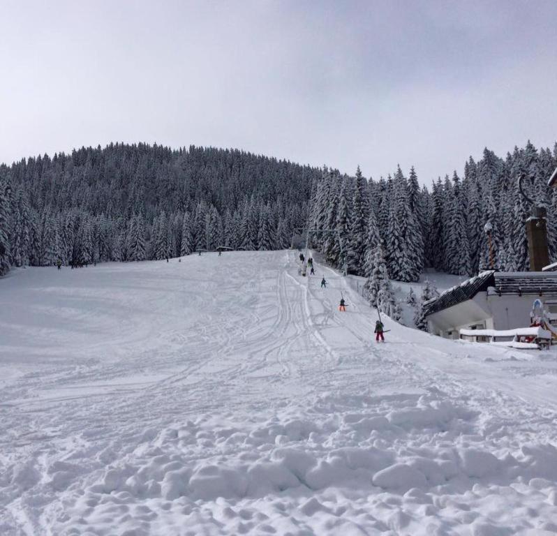 Stara Jelka Pokljuka Chalet *