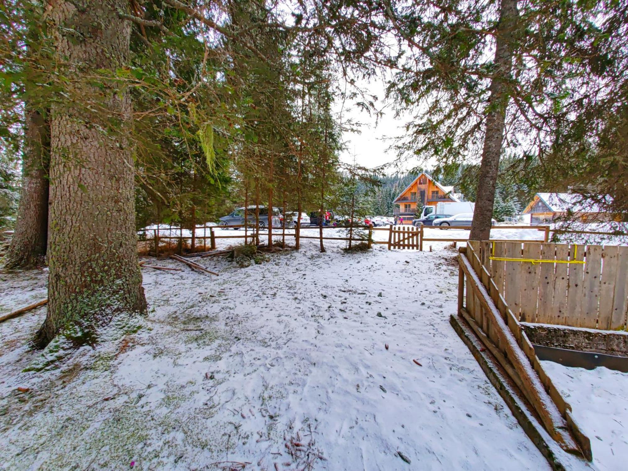 Chalet Stara Jelka Pokljuka *