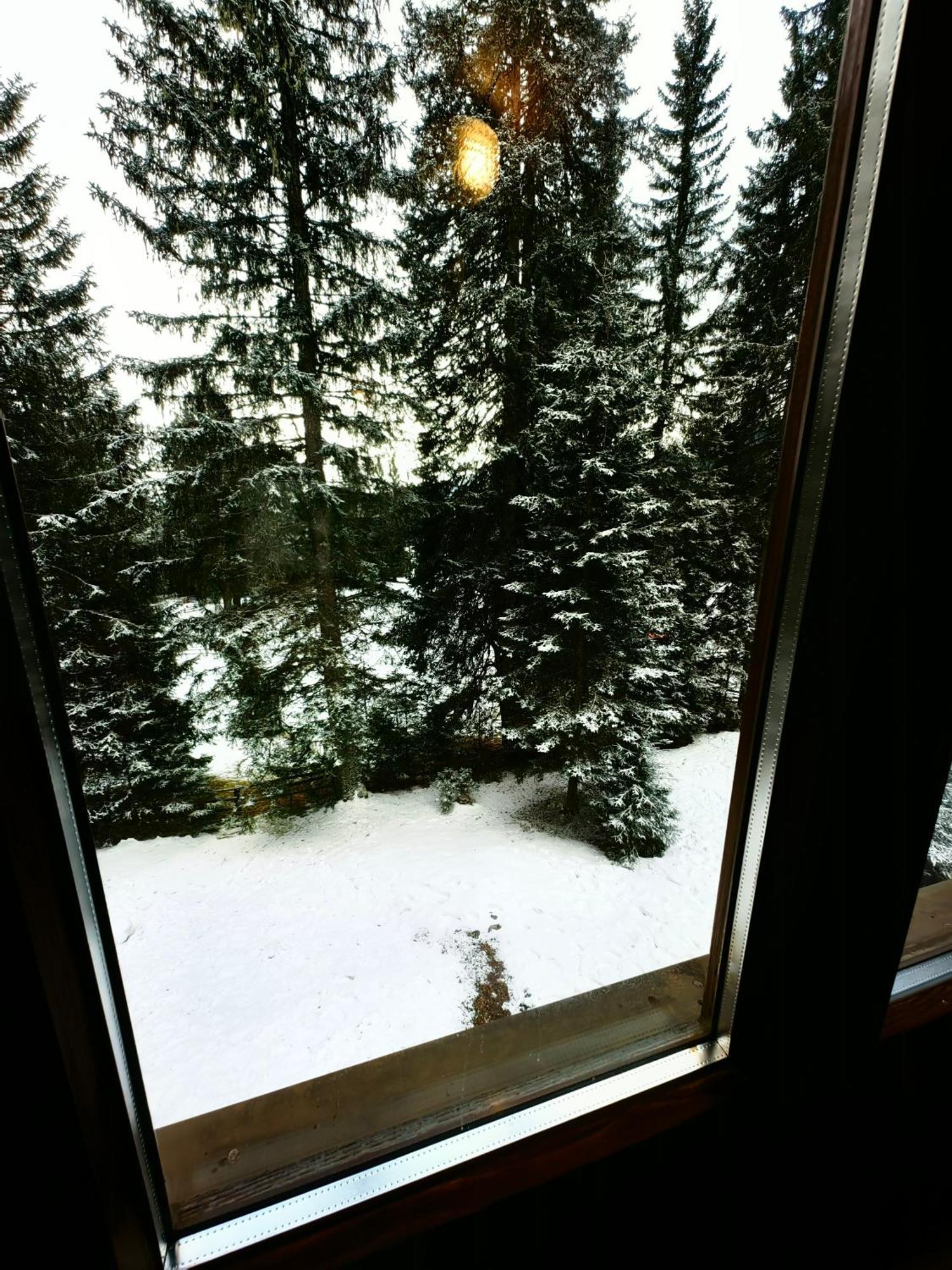 Stara Jelka Pokljuka Zgornje Gorje